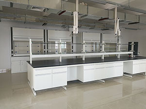 鋼木懸掛式實(shí)驗(yàn)臺