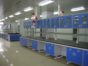 鋼木結(jié)構(gòu)中央實(shí)驗(yàn)臺