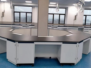 食品行業(yè)實(shí)驗(yàn)室家具案例